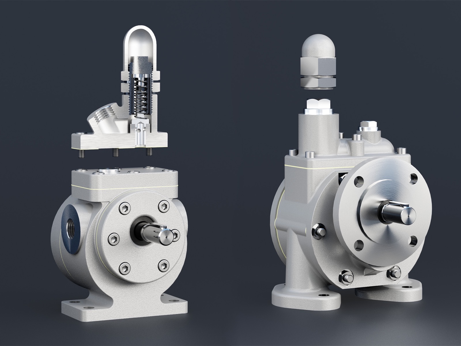 Zwei Pumpenvarianten nebeneinander, eine mit Überdruckventil — ZPM Mannheim, 3D-Visualisierung