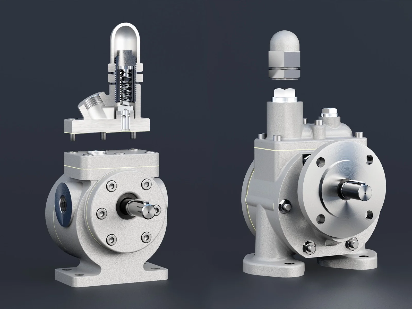Zwei Pumpenvarianten nebeneinander, eine mit Überdruckventil — ZPM Mannheim, 3D-Visualisierung