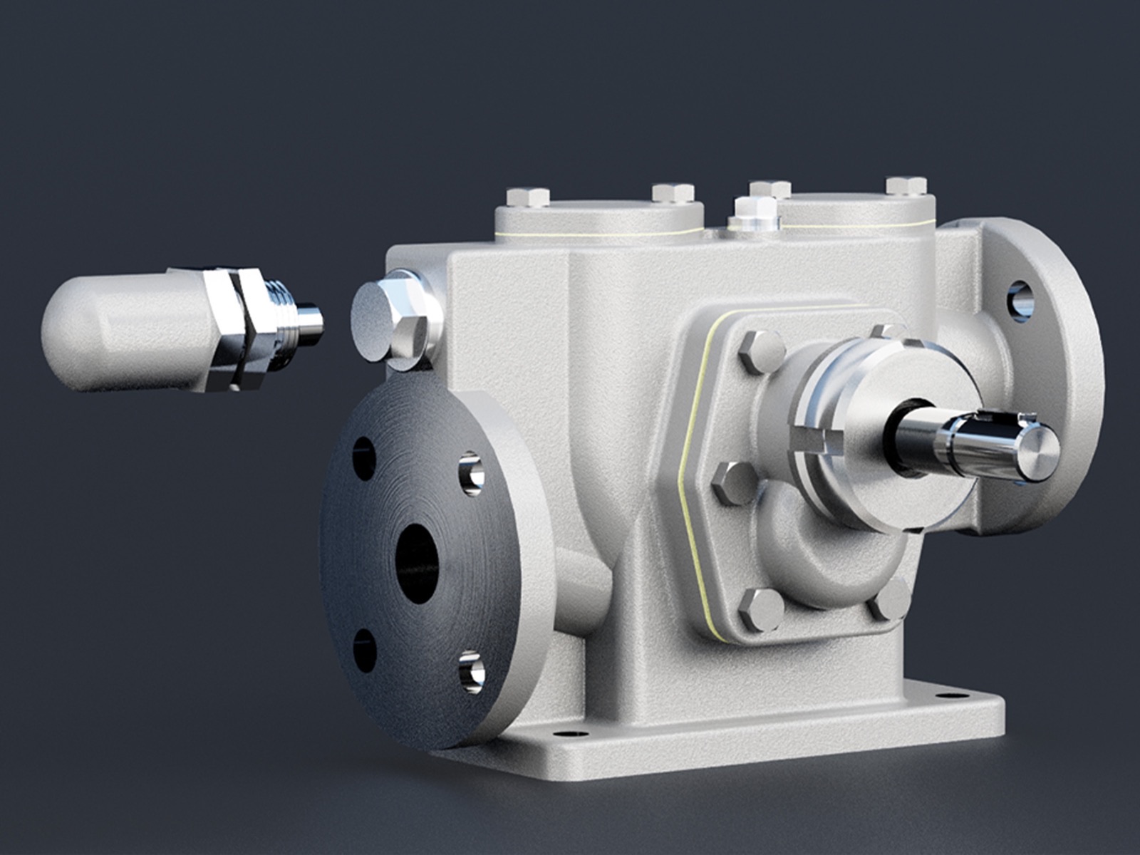 Zahnradpumpe mit angesetztem Überdruckventil — ZPM Mannheim, 3D-Visualisierung
